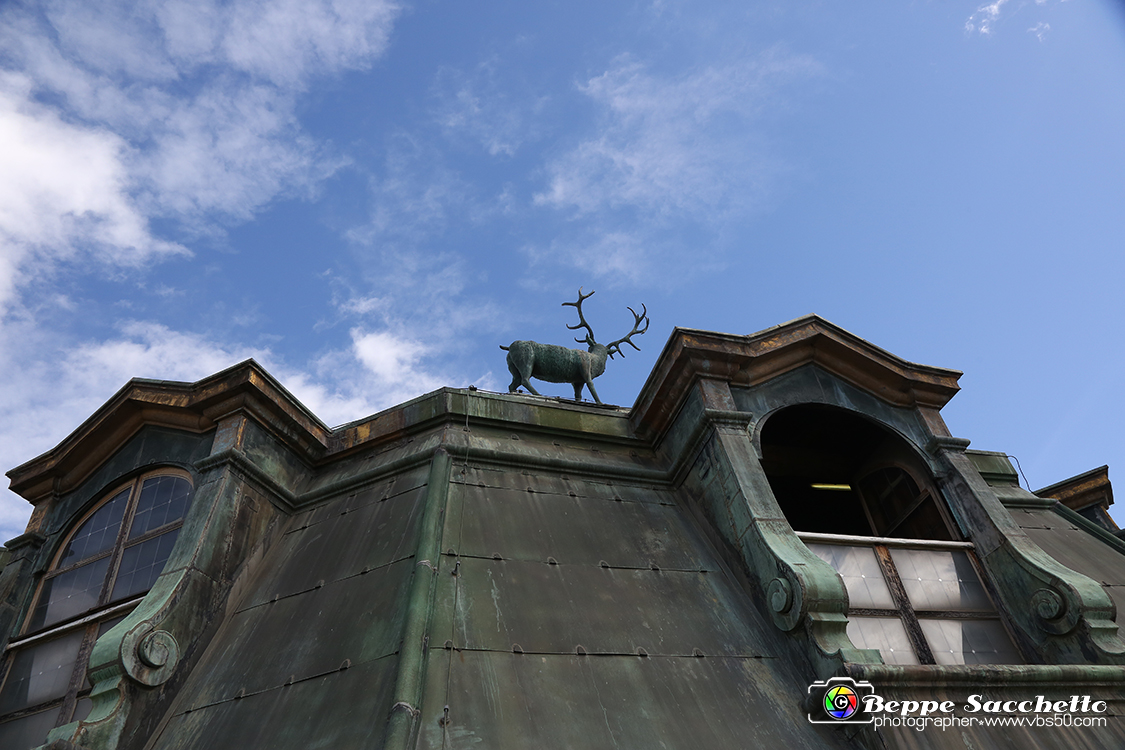 VBS_5961 - Sotto il Cervo - Palazzina di Caccia di Stupinigi.jpg
